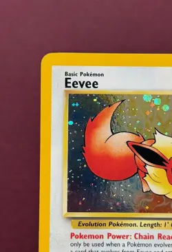 Pokemon 2000 Black Star Promo #11 Eevee Holo, Wizards of the Coast Vintage NM - Image 3
