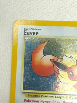 Pokemon TCG Eevee Holo Promo #11 Pokemon Promos Holo Promo Promo - Image 4