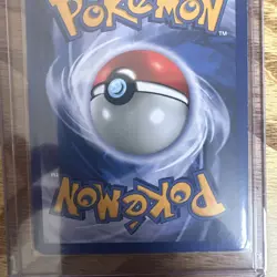 Pokemon TCG Eevee Holo Promo #11 Pokemon Promos Promotional Holo Promo CLEAN! - Image 4