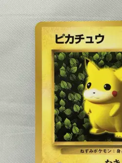 Ivy Pikachu Pokemon Card Japanese Glossy CoroCoro Promo No. 025 Ken Sugimori - Image 5
