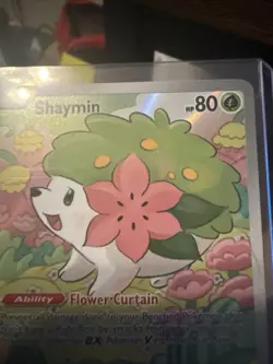 Shaymin 185/182 Sv10: Destined Rivals Illustration Rare Pokemon TCG NM - Image 4
