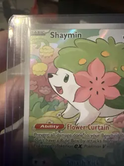 Shaymin 185/182 Sv10: Destined Rivals Illustration Rare Pokemon TCG NM - Image 5