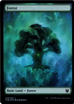 Forest M/M* FOIL FULL ART Theros Beyond Death ENGLISH 254/254 mtg -UnltdCards - Image 1