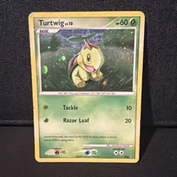 Turtwig DP01 Heavily Played Holo Black Star Promo Pokemon Card - Image 1