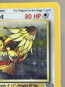 Pidgeot 8/64 Jungle Set Rare Holo Vintage Pokemon TCG Card Damaged - Image 2