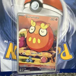 Pokemon Darumaka (Full Art, Illustration Rare) 097/086 Sv: Black Bolt Holo 80HP - Image 1