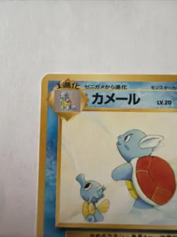 Vintage 1999 Pokemon Japanese Southern Islands Wartortle #8 Promo Card Old Back - Image 2