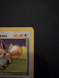 Pokemon TCG Lt. Surge's Eevee 51/132 Gym Challenge Unlimited Uncommon WOTC - Image 3