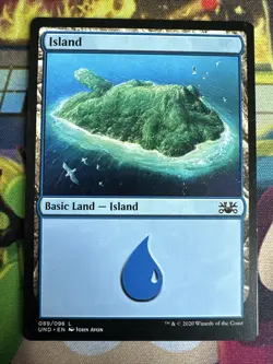 12x Island- Unsanctioned- Squirrel Land- Mtg Magic the Gathering Cards- NM - Image 2