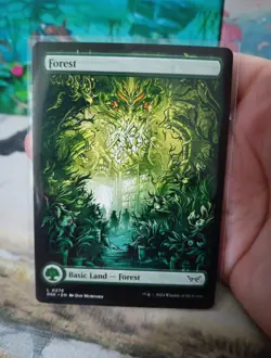 MTG - Forest - Full Art Duskmourn: House of Horror L 0276 - Image 1