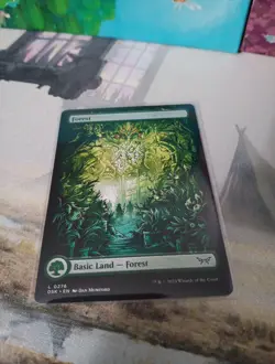 MTG - Forest - Full Art Duskmourn: House of Horror L 0276 - Image 2
