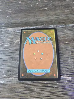 Forest (0276) - Full Art Duskmourn: House of Horror Foil - Image 3