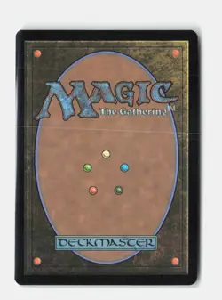 Stormcarved Coast (Borderless) 304 Secrets of Strixhaven MTG NM - Image 2