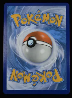 Pikachu V SWSH061 SWSH: Pokemon Sword & Shield Promo Cards Holo- NM - Image 2