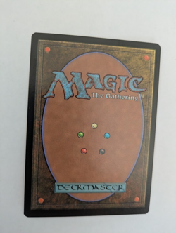 Chinese Poison Arrow Portal 3K MTG NM Free shipping with tracking - Image 2