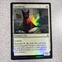 Sacred Cat Foil AKH NM MTG Ships Free!! - Image 1