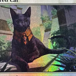 Sacred Cat Foil AKH NM MTG Ships Free!! - Image 3