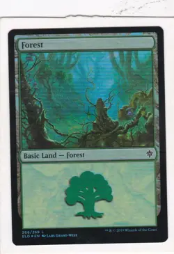 Magic: MTG: Throne of Eldraine: Foil: Forest #266 - Image 1