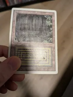 MTG Bayou Revised Edition Rare HP - Image 2