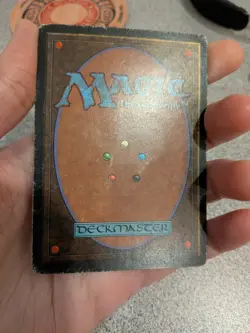 MTG Bayou Revised Edition Rare HP - Image 3