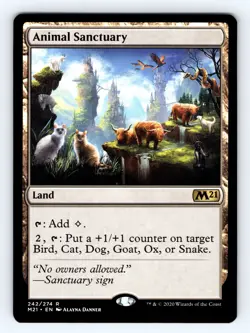 2020 MTG Animal Sanctuary #242 Rare - NM 💎 - Image 1