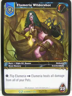 World of Warcraft TCG - Hunt for Illidan Uncommon Karte aussuchen - WoW - Image 5