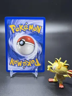Team Aqua's Spheal 56/95 Pokemon Team Magma vs Team Aqua Reverse Holo - NM - Image 2