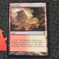 Wizards of the Coast Arid Mesa 211 Zendikar Rare Land Regular EN 2009 Swanland - Image 1