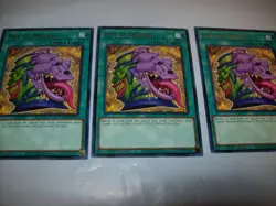 3x Pot of Desires TOCH-EN057 Rare YuGiOh NM 1st TOON CHAOS PLAYSET FREE SHIPPING - Image 1