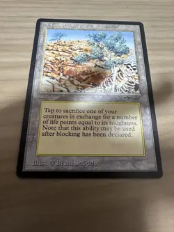 Diamond Valley English Mtg Provides - Image 3