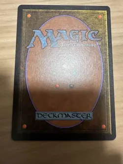 Diamond Valley English Mtg Provides - Image 5