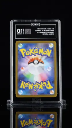 Glaceon ex SAR 206/187 SV8a Terastal Fest ex 2024 Pokemon Card Japanese TAG 10 - Image 3