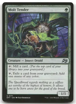 Molt Tender #171 (NM) Aetherdrift DFT Magic MTG - Image 1