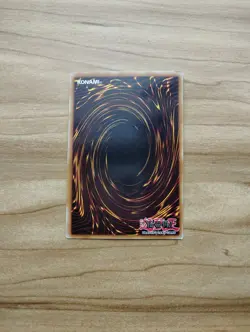 Yu-Gi-Oh! - Winged Kuriboh 1x - Rare - DP1-EN005 - Image 2