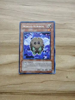 Yu-Gi-Oh! - Winged Kuriboh 1x - Rare - DP1-EN005 - Image 3