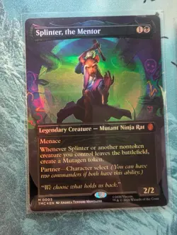 Splinter, the Mentor (Borderless) - Image 1