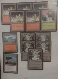 MTG Ice Age ❄ Lands Lot (13) 5x swamp,6 x mountain,1 x veldt,1 x forest (nm-mp) - Image 1
