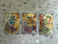 Pokemon First Partner Illustration Collection Series 2 - Johto GEN 2 Pack Fresh - Image 1
