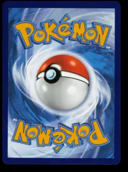 Pokemon Card Boltund V TG13/TG30 Brilliant Stars Trainer Gallery BRS NM 2022 - Image 2