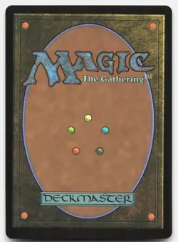 Mikey & Leo, Chaos & Order (Borderless) - NM - TMT TMNT Turtles 0200 - MTG Magic - Image 2