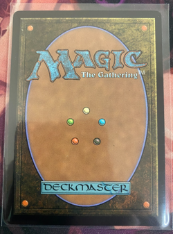 MTG, ABUNDANT COUNTRYSIDE (EXTENDED ART) (ECC) (NM OR BETTER CONDITION) - Image 3