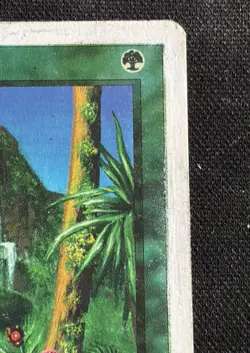 X1 - MTG - Concordant Crossroads - DMG (See Description) - Rare - Chronicles - Image 3