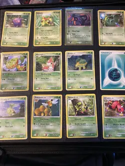 Pokemon TCG My Old Binder Base Set Jungle Set Promo Cards English 1999 - Image 1