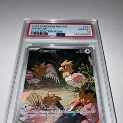 SPEAROW POKEMON HOLO ILLUSTRATION RARE MEGA EVOLUTIONS PSA 10 GEM MT 151/132 - Image 2