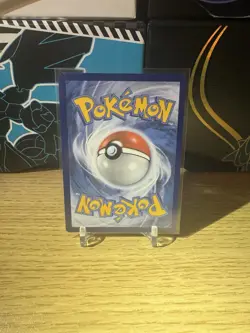 Pokemon Squirtle TCG SWSH Black Star Promos Holo Card SWSH233 NM Condition - Image 2