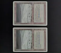 MTG Dual Land Revised Tundra x 2 (LP) - Image 1