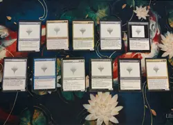 Magic Con 2026 Las Vegas Unknown Event With Gavin Verhey - Set of 11 Cards NM - Image 1