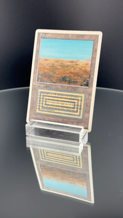 Steppa (Scrubland) - MTG Italian Revised (FWB), 1995 - Image 2