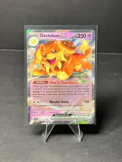 Pokemon DACHSBUN EX 067/142 - Stellar Crown - ULTRA RARE HOLO - - MINT - Image 1