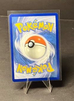 Pokemon DACHSBUN EX 067/142 - Stellar Crown - ULTRA RARE HOLO - - MINT - Image 2